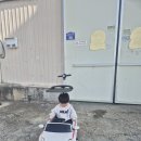 대호오토 | 3살 남아 원픽 대호토이즈 피아트 푸쉬카 후기