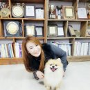 고고코리아 이미지