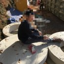 고등여인숙 이미지