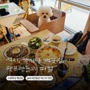 폼애견 | [행궁동 맛집] 애견의자 생겨서 폼 미쳐버린 뽁식당 행궁동점! 내돈내산 솔직후기 (feat. 연무동 주차...