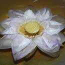 사명어린이집 이미지