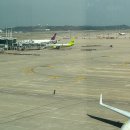 오늘의 카페ㅣ인천공항 실버 카페 하늘마루 2호