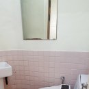 쇼독동물병원 이미지