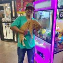 코끼리인형뽑기 이미지