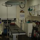 동구학문외과의원 | 20대 치질 외치핵 수술 후기