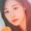 (주)핑크소울 이미지