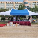 김해활천초등학교 이미지