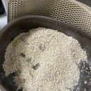[육묘 일기]아메리칸 솔루션 로얄레드 고양이 모래, 우아한 향 내돈율산 사용 후기(광고 아님)