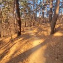 등산로집 이미지