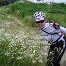 안산 와동공원 이미지