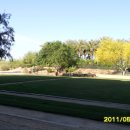 피닉스호텔 이미지