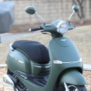 플레타짐 이미지