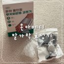 수무지옆들 | 무지외반증 교정기, 온아메디 발가락 교정기 사용 후기