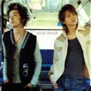 나나비펫 이미지