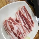 흑돼지수 이미지