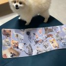 주문진여행 대가족 여름휴가 8월 1주차 주간일상