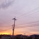 아포가스충전소 이미지