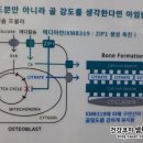 아임 메디칼 이미지