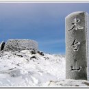 대구 남산산악회 제 248차 정기산행 태백산(눈꽃축제) 이미지
