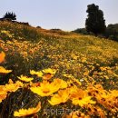 드라마촬영장 이미지