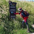 남도삼백리길(8코스) 이미지