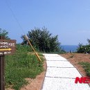 강구대게축구장 이미지