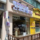 내정로174번길 | 24시 무인펫샵 견생냥품 분당 수내파크타운점 방문 후기