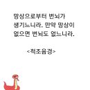 적조음경 이미지