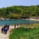 사량도 - 김해시 경원로55번길 26 | 사량도