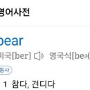 곰(bear)의 뜻에는 이미지