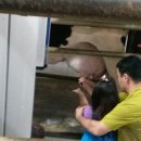 모산목장 이미지