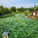 바람솔길펜션 이미지