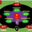 당신은 거듭나야 합니다. 2부. 이미지