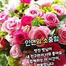 날씨누리 예보입니다 ❤️ 이미지