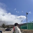 영종테니스장 | 영종도 테니스장 송산 배수지 테니스장