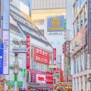 자유여행일본어 | 일본 도쿄 자유여행 나리타 공항 호텔 캐리어배송 후기 굿럭 예약 가격