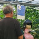 꼬꼬팜농장 이미지