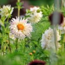 함줄공원 이미지