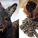 망원동한의원 이미지