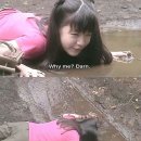 아요 Daum카페