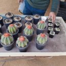 주교농장 이미지