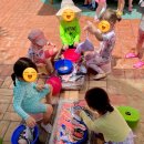 어룡어린이집 이미지