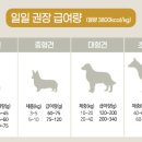 미트 앤 피쉬 이미지