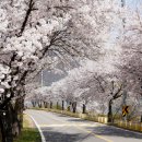 남종면행정복지센터 이미지