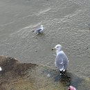 군장 수산물센타 이미지