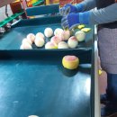 병준농장 이미지