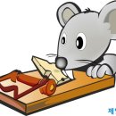 용인농장 이미지