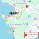 인형의 거리(호랑이 | [푸켓 아이랑 추천 일정 ] 4살 아이랑 타이거킹덤 대신 타이거파크 스몰 호랑이 체험 가격정보