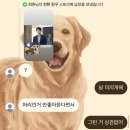 동명동 주민센터 | 한줄기의 빛✨