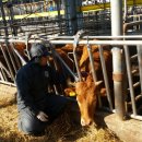 해남군-04 이미지